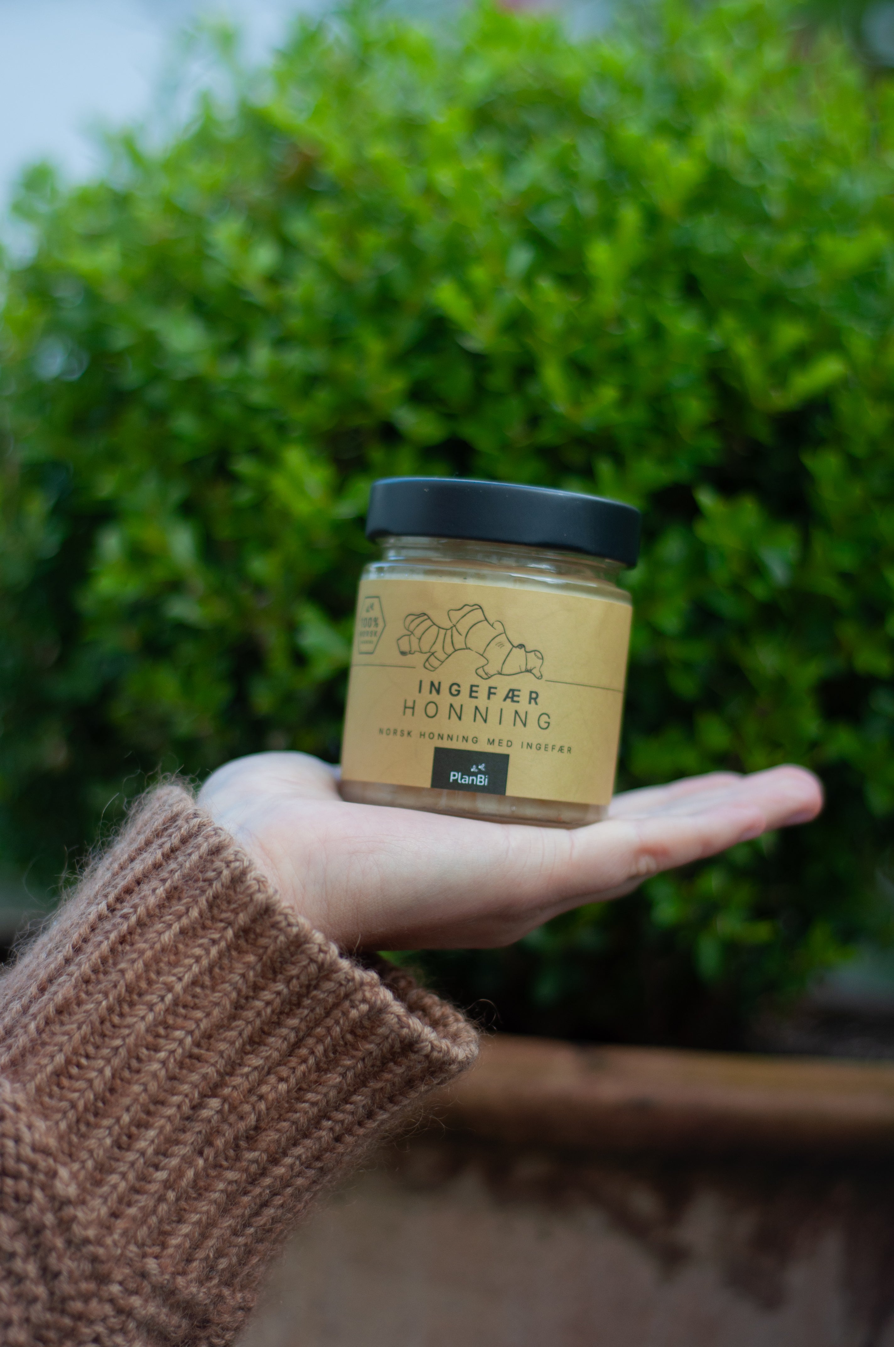 PlanBi Honey Large