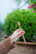 Honey Stick