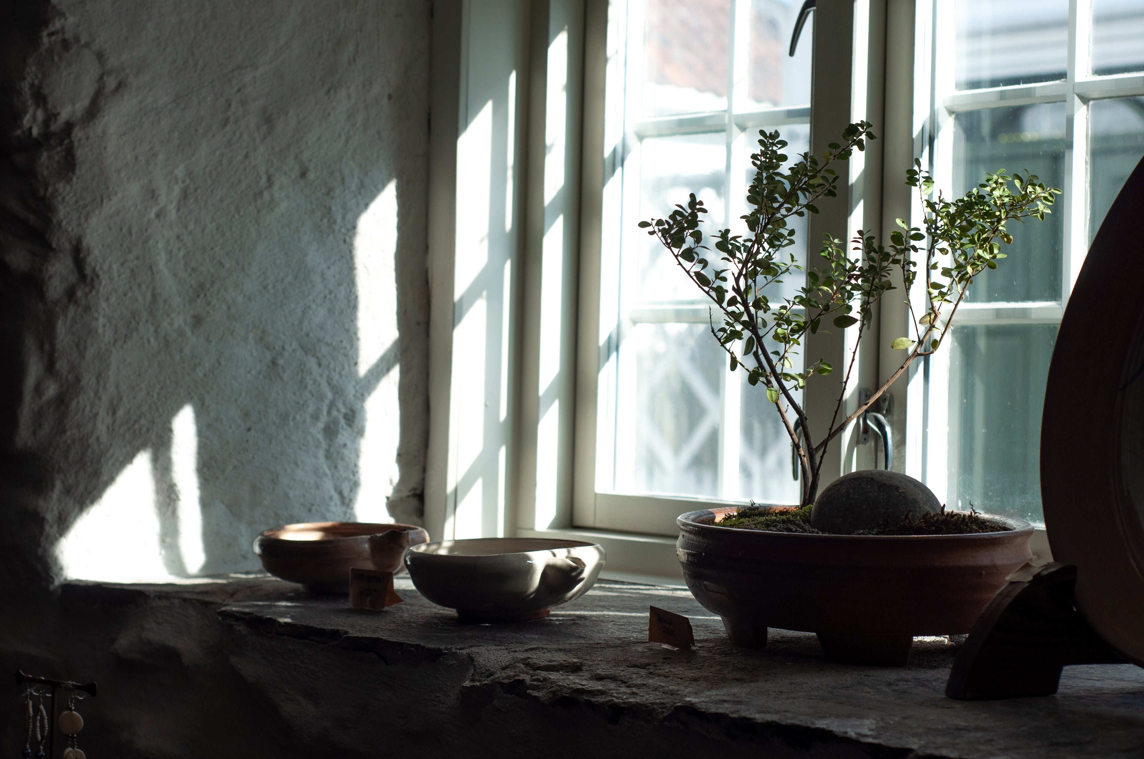 Ceramic Bonsai Plate